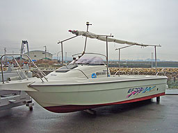 photo1