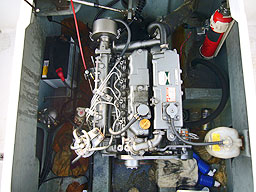 photo3