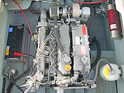photo3