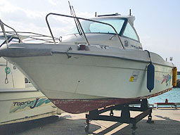 photo1