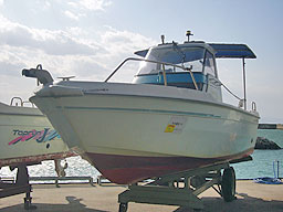 photo1