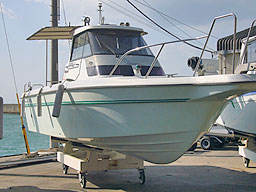 photo1