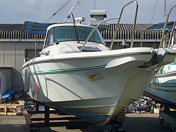 photo1