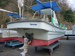 photo2