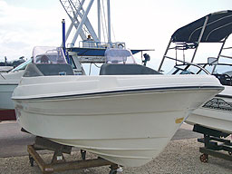 photo1