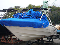 photo1